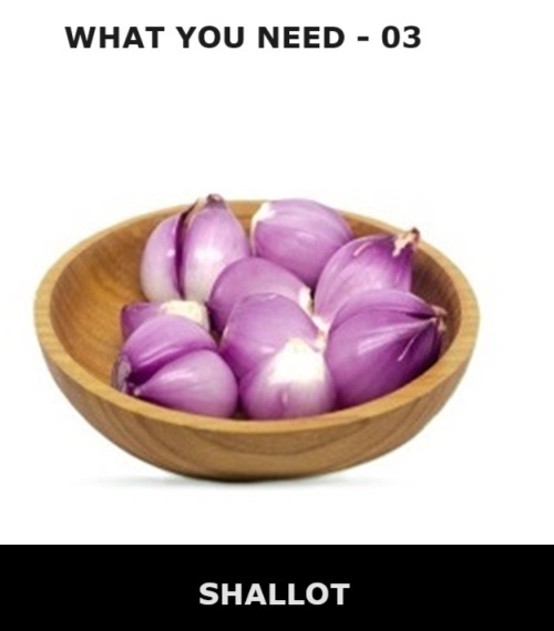 shallot